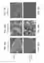 Fig. 41 - Biochar aggregate particles