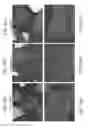 Fig. 42 - Biochar aggregate particles