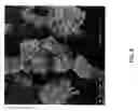 Fig. 04 - Solid sorbent materials for acid-gas separation