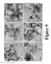 Fig. 10 - Metal phosphide catalysts and methods for making the same and uses thereof