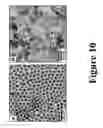 Fig. 11 - Metal phosphide catalysts and methods for making the same and uses thereof