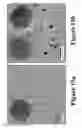 Fig. 16 - Metal phosphide catalysts and methods for making the same and uses thereof