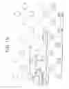Fig. 16 - Microfluidic device for cell separation and uses thereof