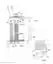 Fig. 02 - Fixing device, wire eroding machine or laser system, and wire eroding or lasing method