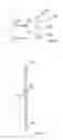 Fig. 05 - Fixing device, wire eroding machine or laser system, and wire eroding or lasing method