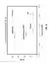 Fig. 10 - Abrasive articles including an abrasive performance enhancing composition