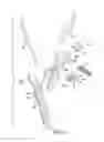 Fig. 04 - Pair of scissors