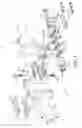 Fig. 06 - COMPOSITE LAYER