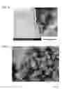 Fig. 04 - Constituent particles used for production of three-dimensional object, powder including constituent particles, and method for producing three-dimensional object from constituent particles