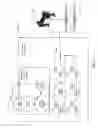 Fig. 04 - Three-dimensional printing based on a license