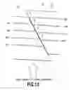 Fig. 14 - Liquid ejection apparatus and liquid ejection head
