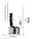 Fig. 19 - Liquid ejection apparatus and liquid ejection head