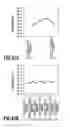 Fig. 44 - Liquid ejection head, liquid ejection apparatus, and manufacturing method