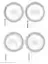 Fig. 13 - Bicycle wheels