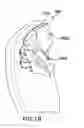 Fig. 26 - Passenger seat headrest