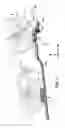 Fig. 02 - Wheel holder for a bicycle carrier