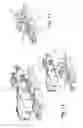 Fig. 08 - WINDSCREEN WIPER DEVICE