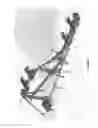 Fig. 03 - Transverse rail switching element