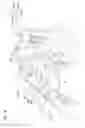 Fig. 05 - Vehicle rear structure