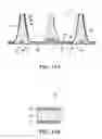 Fig. 14 - Track system for traction of a vehicle