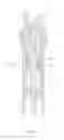 Fig. 06 - Pneumatic and hydraulic elevating seat tube assembly of bicycle