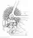 Fig. 01 - Chain guide sensor and methods of controling a bicycle