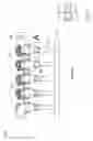 Fig. 29 - Process and apparatus for the treatment or processing of containers for substances for medical, pharmaceutical or cosmetic applications