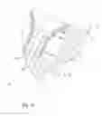 Fig. 41 - Process and apparatus for the treatment or processing of containers for substances for medical, pharmaceutical or cosmetic applications