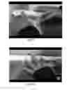 Fig. 12 - Load bearing structure