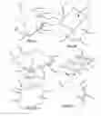 Fig. 18 - Load bearing structure