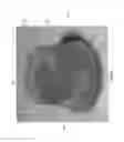 Fig. 06 - Beverage lid cover for enhancing aroma