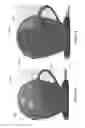 Fig. 27 - Beverage lid cover for enhancing aroma