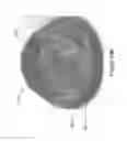 Fig. 47 - Beverage lid cover for enhancing aroma