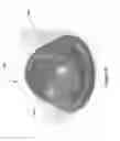 Fig. 60 - Beverage lid cover for enhancing aroma