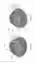 Fig. 61 - Beverage lid cover for enhancing aroma