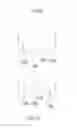 Fig. 09 - Method of handling a plastic container having a moveable base