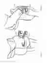Fig. 10 - Horseman-securing device, saddle, and saddle securing device for preventing a horseman from falling off a four-legged animal