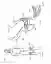 Fig. 13 - Horseman-securing device, saddle, and saddle securing device for preventing a horseman from falling off a four-legged animal