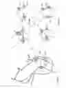 Fig. 19 - Horseman-securing device, saddle, and saddle securing device for preventing a horseman from falling off a four-legged animal