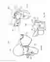 Fig. 43 - Horseman-securing device, saddle, and saddle securing device for preventing a horseman from falling off a four-legged animal