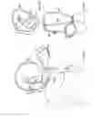 Fig. 48 - Horseman-securing device, saddle, and saddle securing device for preventing a horseman from falling off a four-legged animal