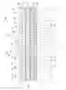 Fig. 10 - Membrane transducer structures and methods of manufacturing same using thin-film encapsulation