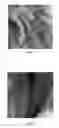 Fig. 03 - Method for preparing carbon powder from organic polymer material and method for detecting crystal morphology in organic polymer material