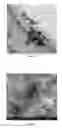 Fig. 08 - Method for preparing carbon powder from organic polymer material and method for detecting crystal morphology in organic polymer material