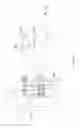 Fig. 180 - Water vapor distillation apparatus, method and system