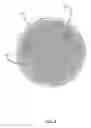Fig. 05 - Water softening ball
