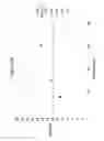 Fig. 59 - Thin thermally and chemically strengthened glass-based articles