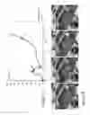 Fig. 08 - METHODS AND SYSTEMS RELATING TO ENHANCING MATERIAL TOUGHNESS