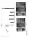 Fig. 11 - METHODS AND SYSTEMS RELATING TO ENHANCING MATERIAL TOUGHNESS