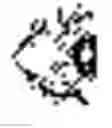 Fig. 03 - Decorative glass panel